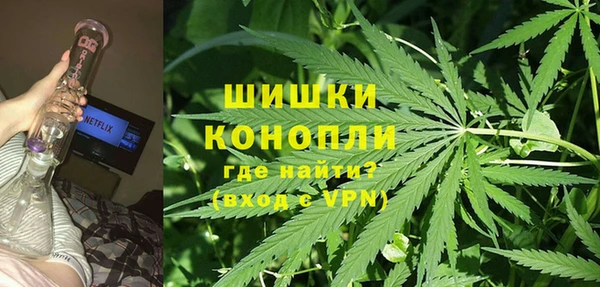 каннабис Белокуриха